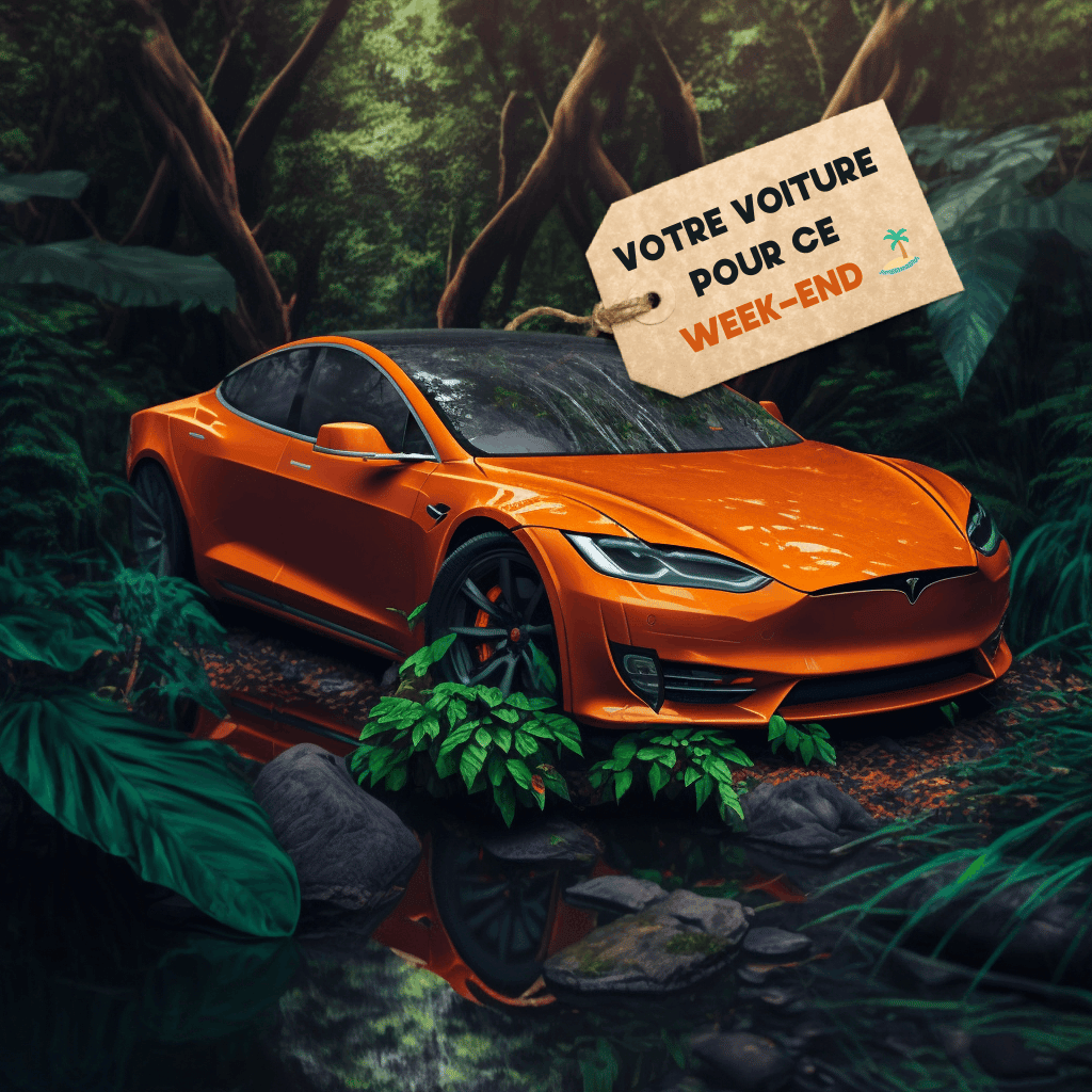 location voitures guyane